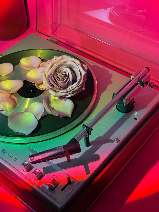Roses are back, baby!